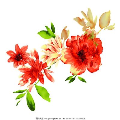 自然之筆 位圖風格下的寫意花卉藝術與免費素材應用