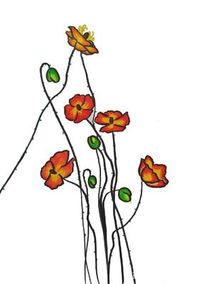 簡筆畫植物花卉系列 多彩多姿的虞美人