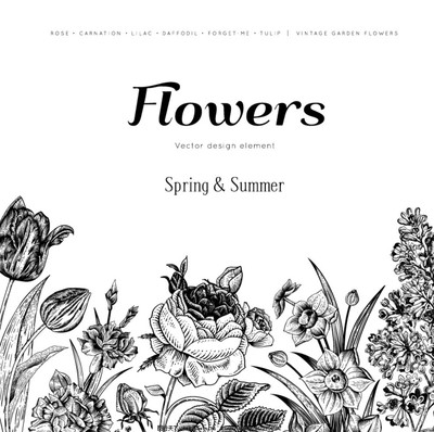 綻放藝術魅力 探索黑色手繪花卉背景矢量素材之美